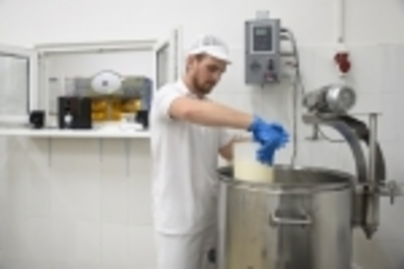В Туймазинском районе наладили производство итальянских сыров