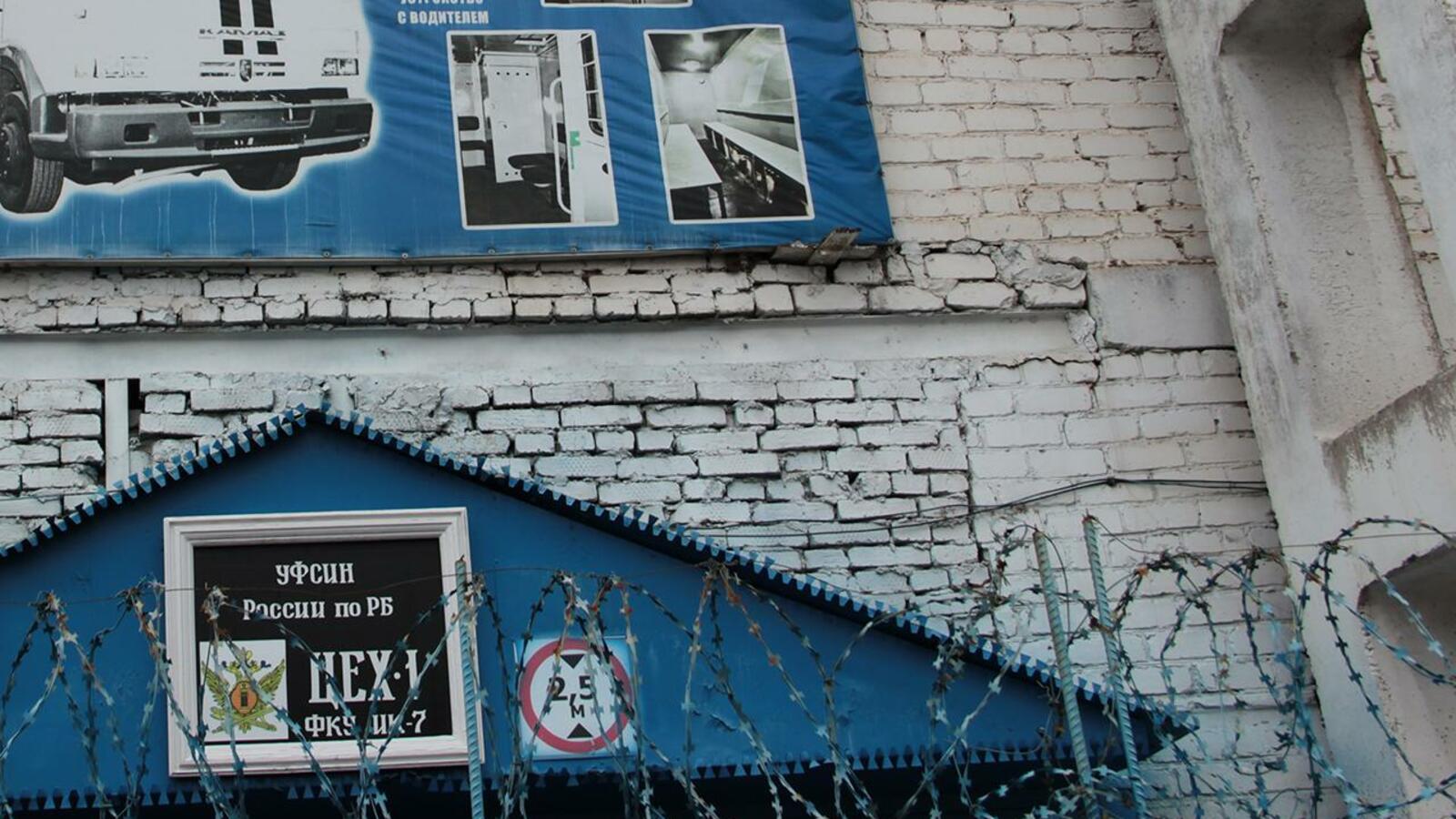 Ксения Калинина