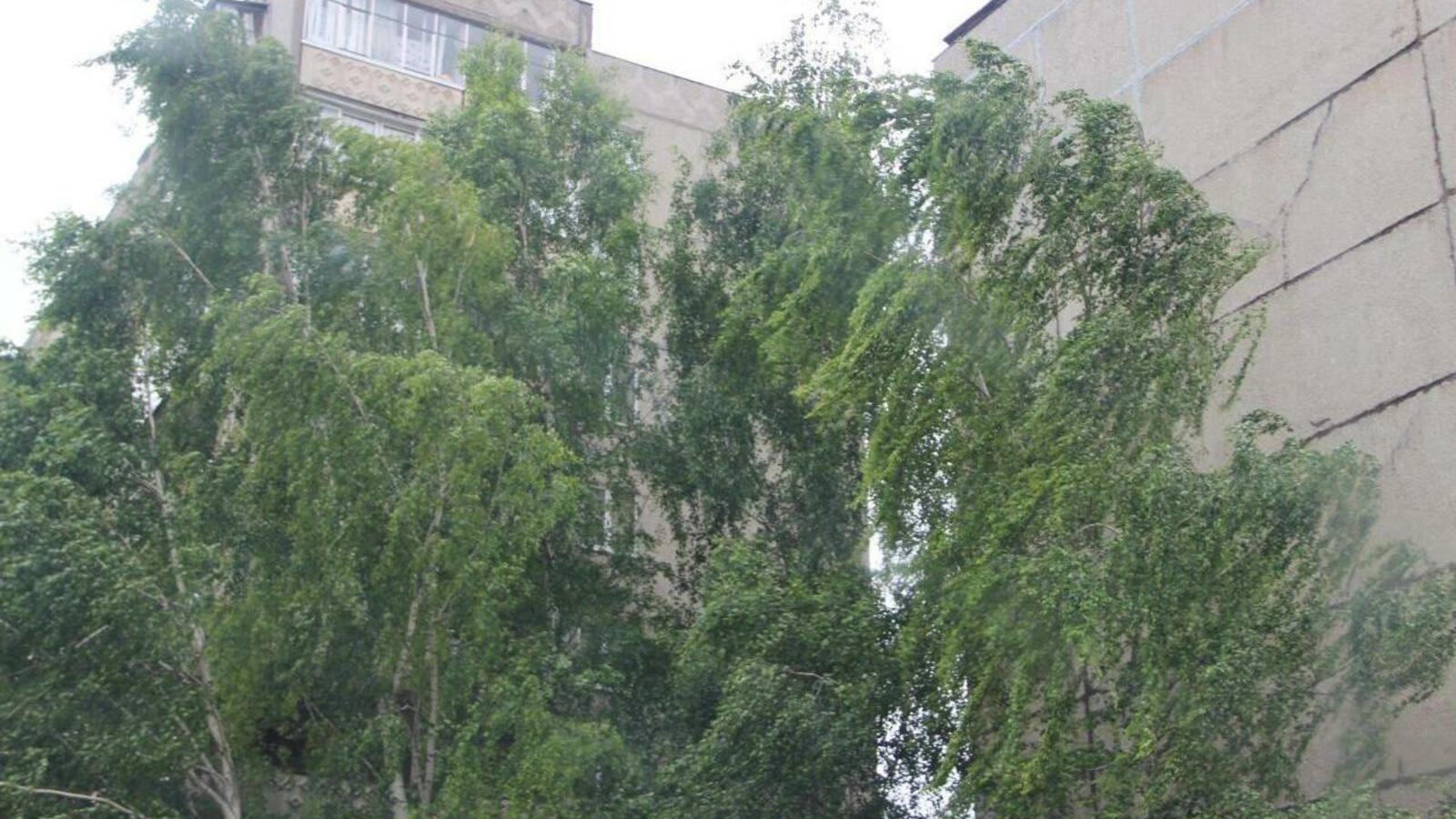 Ксения Калинина