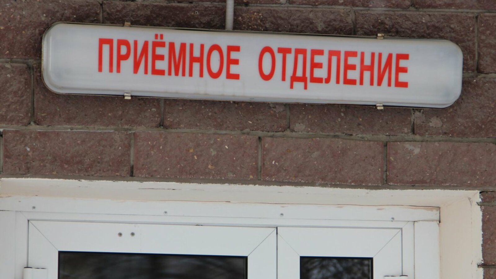 Ксения Калинина