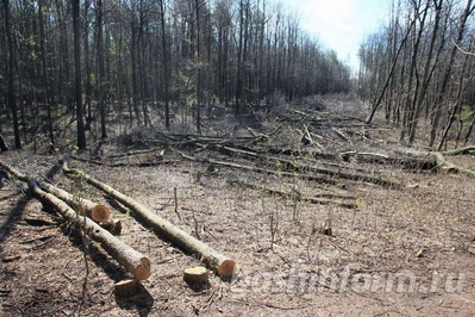 Олег Яровиков