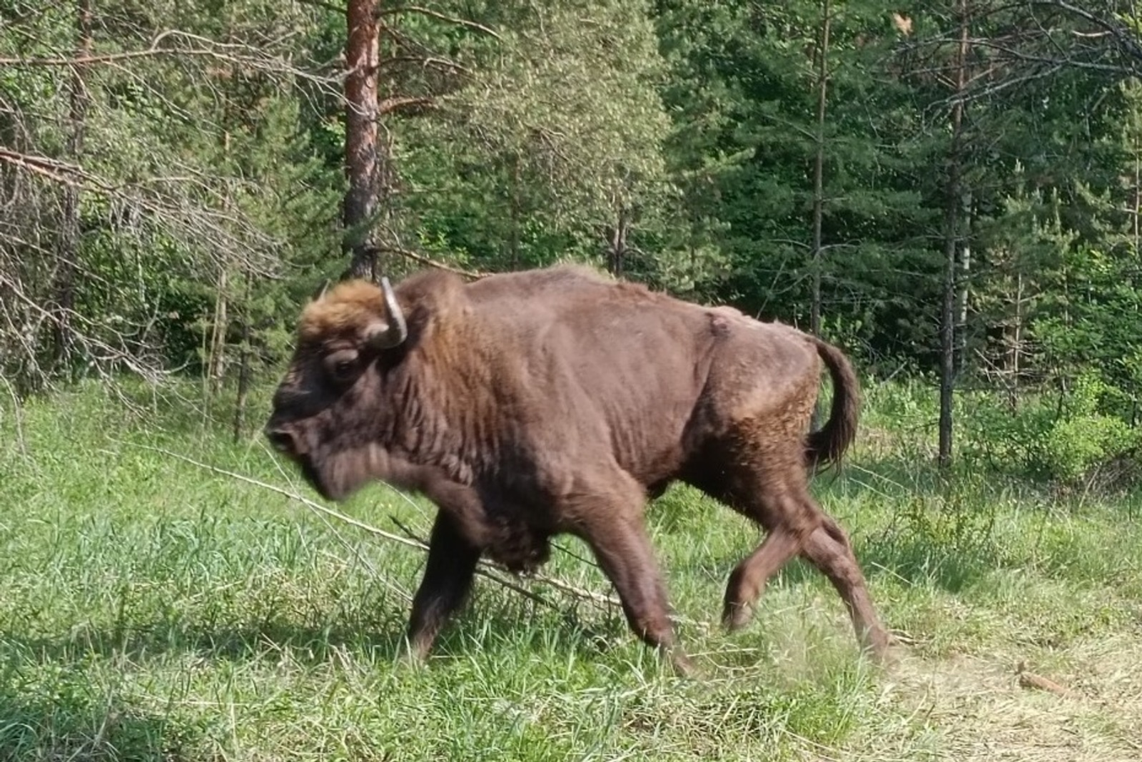 Башҡортостан буйынса Россельхознадзорҙың матбуғат хеҙмәте