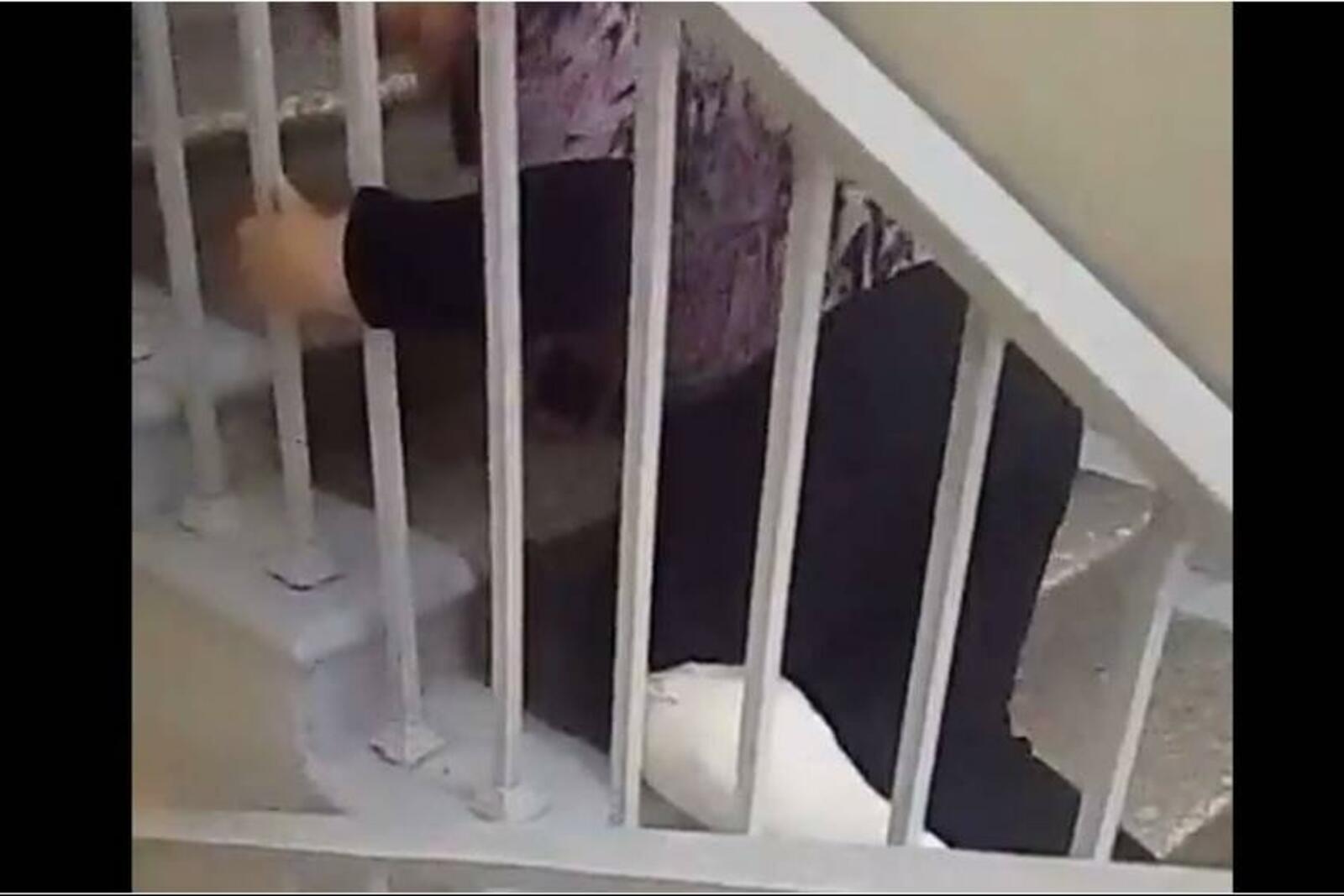 скриншот видео