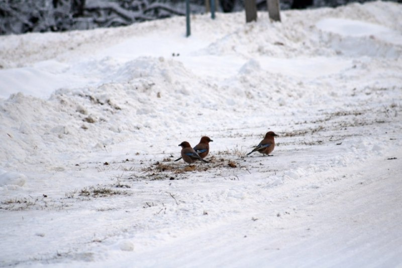 нацпарк «Башкирия» ТГ-канал