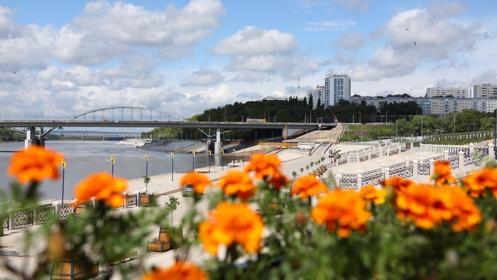 Валерий Шахов