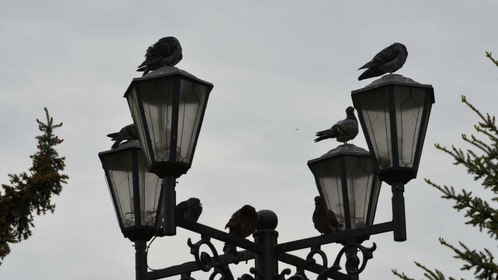 ИА «Башинформ»