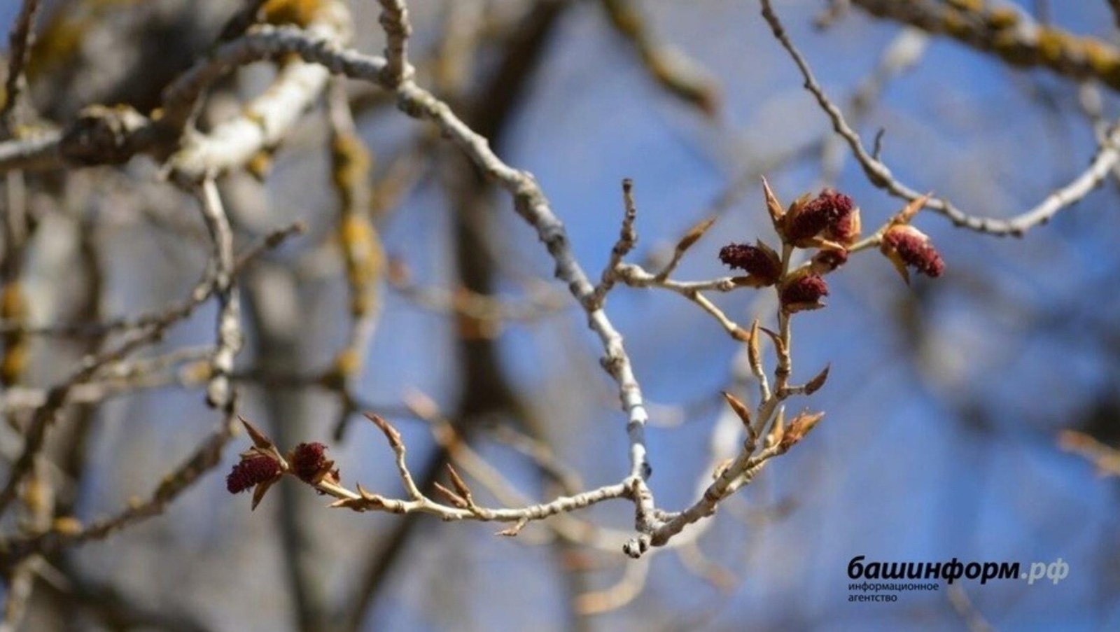 Ксения Калинина архив ИА «Башинформ»