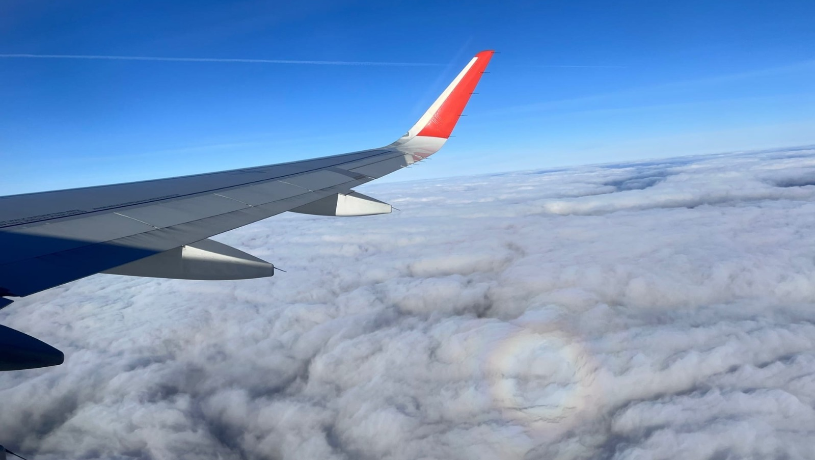 Ксения Калинина