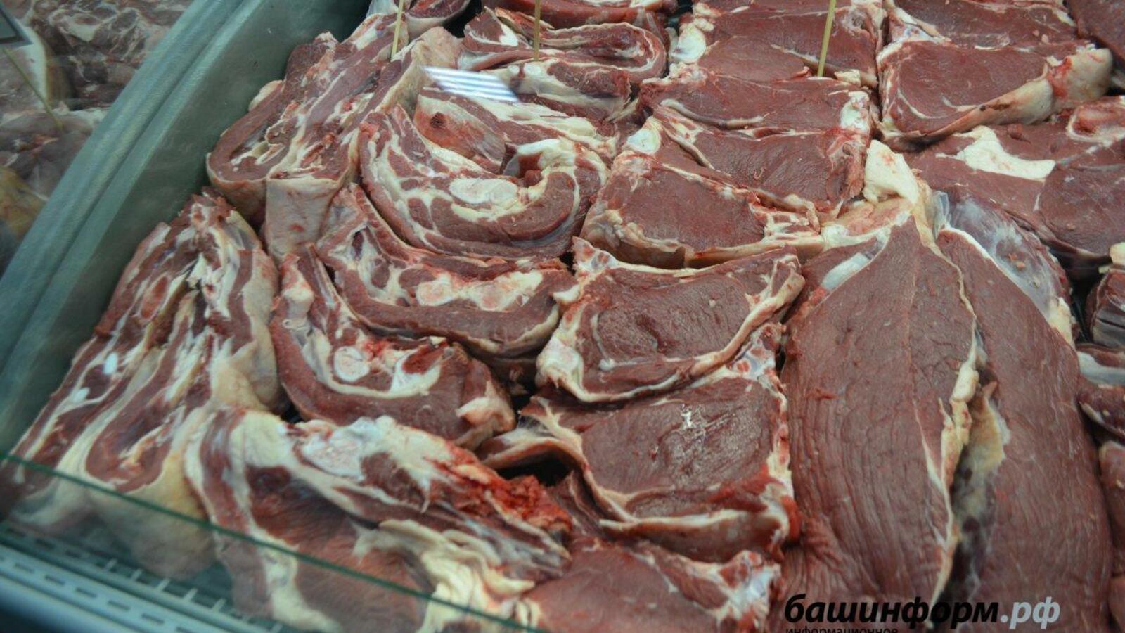 Ксения Калинина