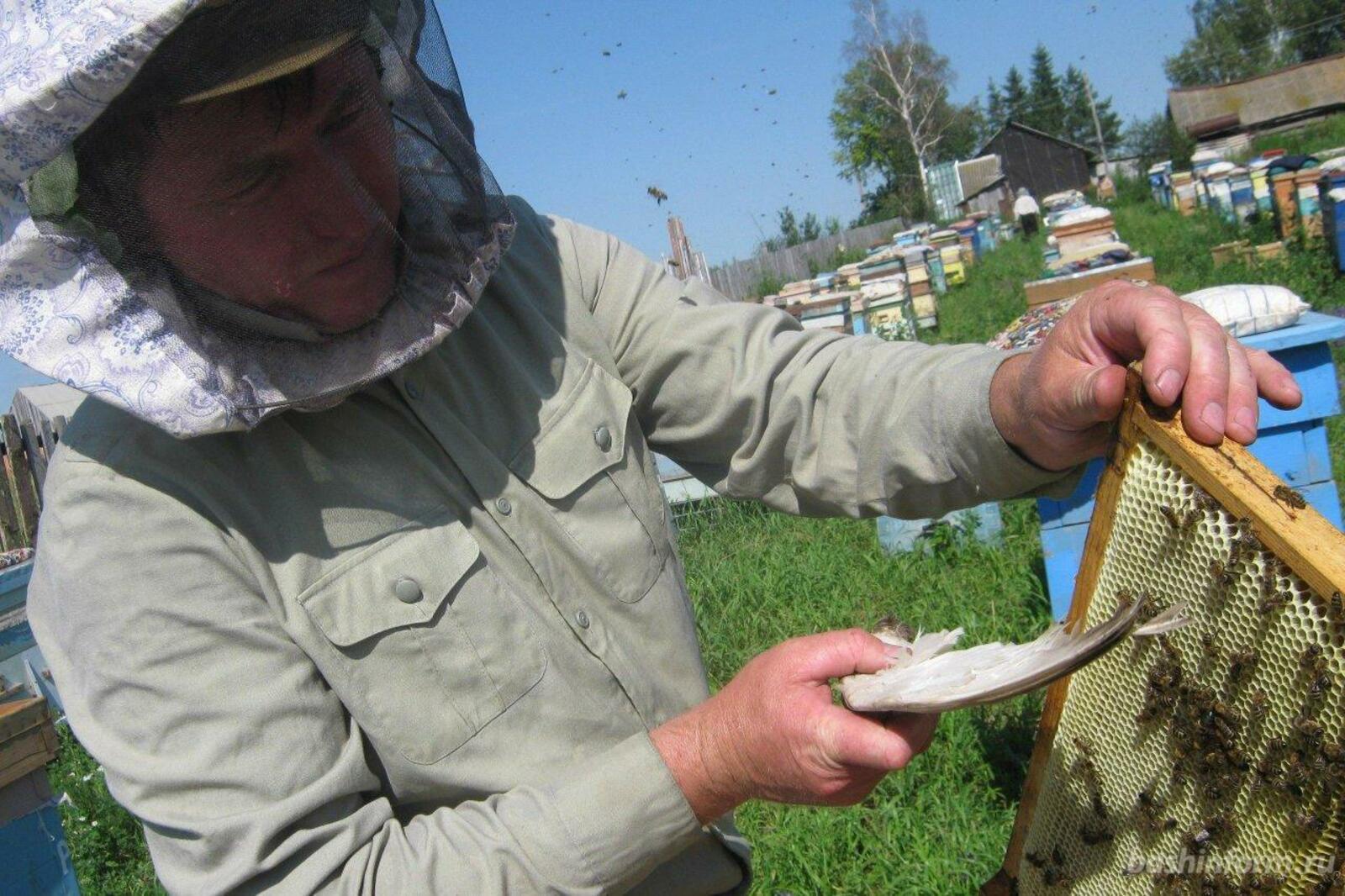 Розалия Валеева