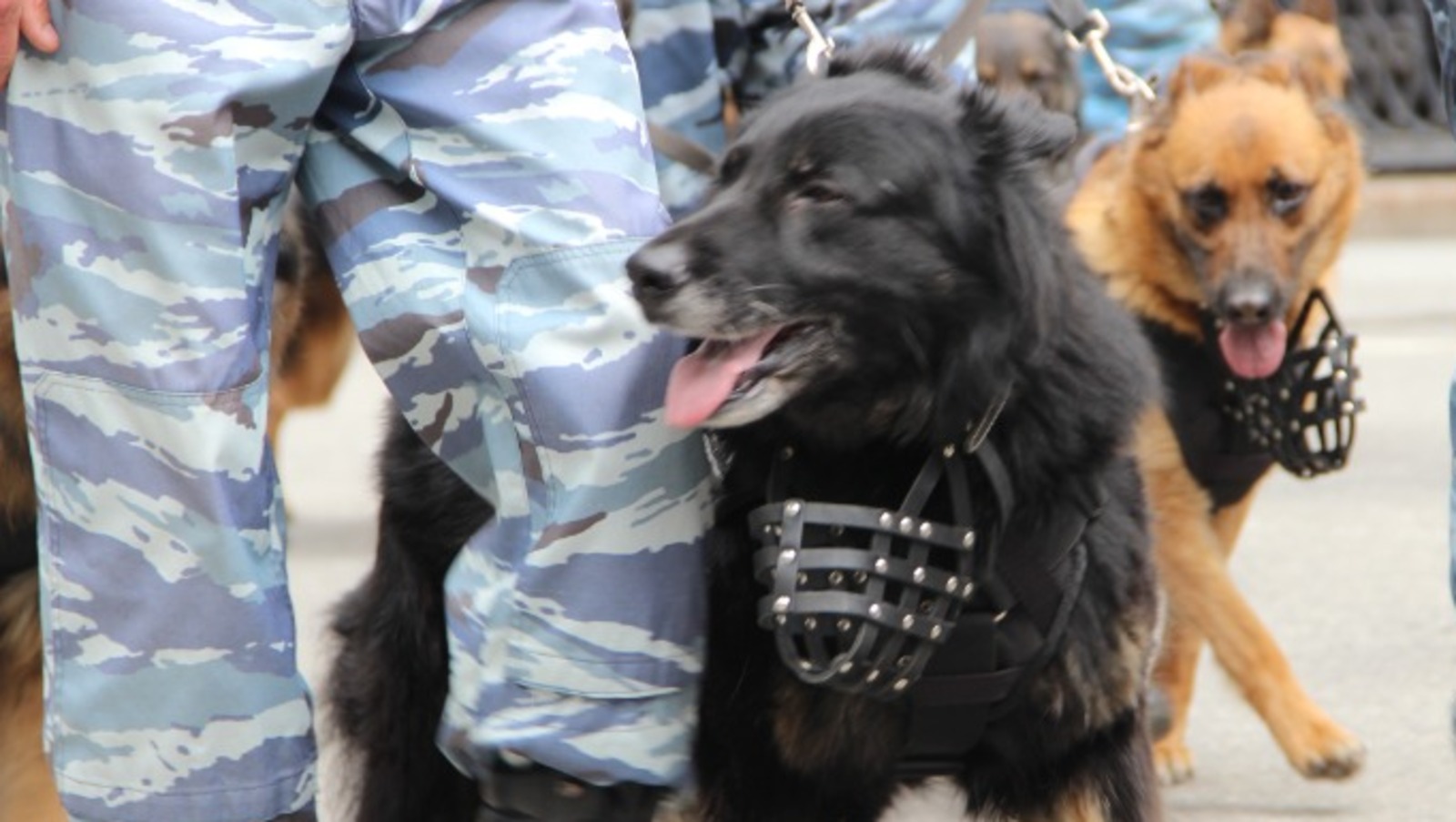 Ксения Калинина