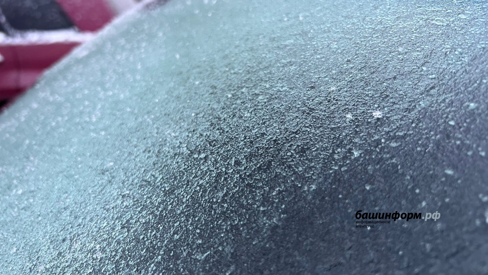 Ксения Калинина  ИА «Башинформ»