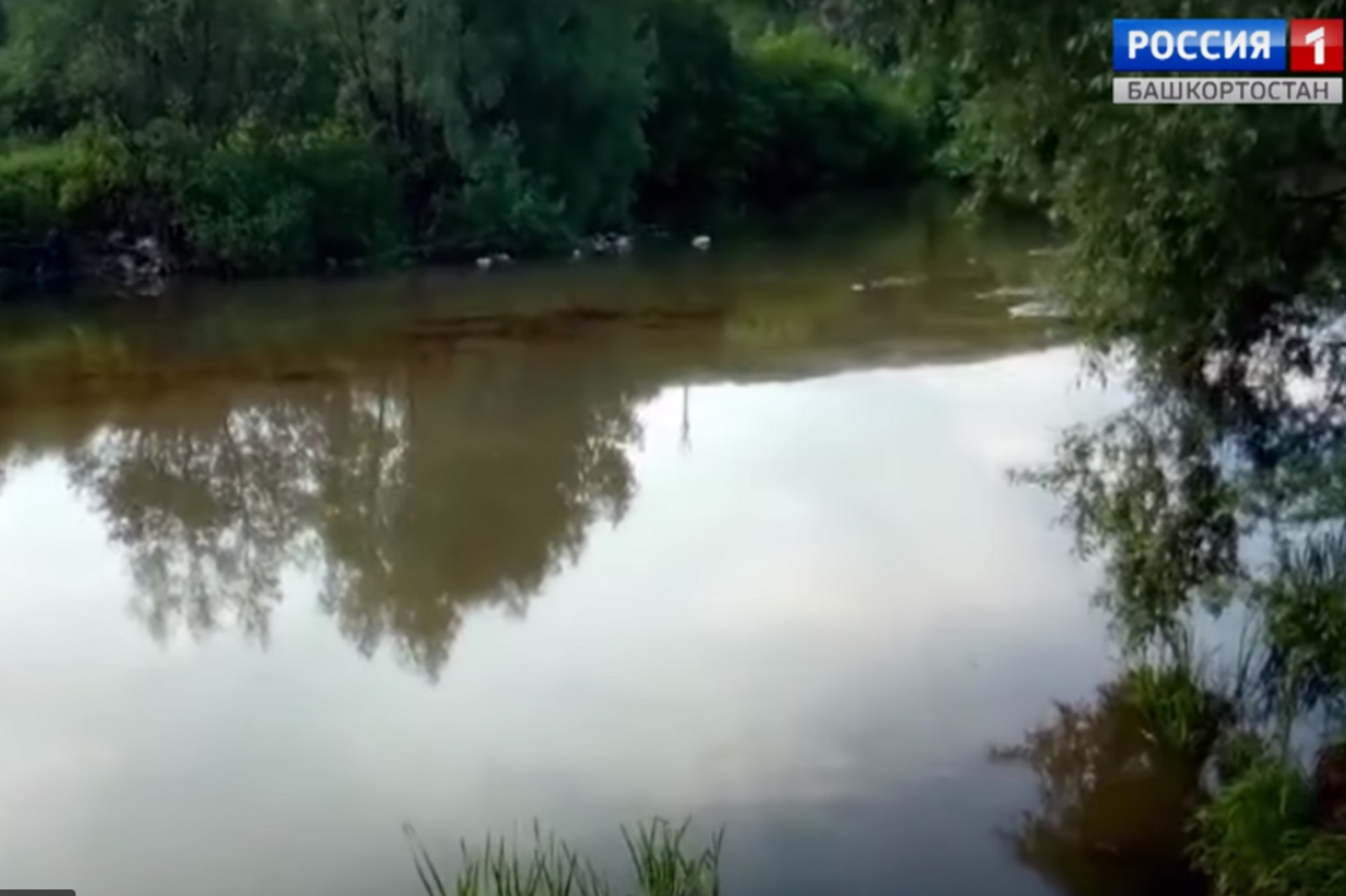 скриншот видео ГТРК «Башкортостан»