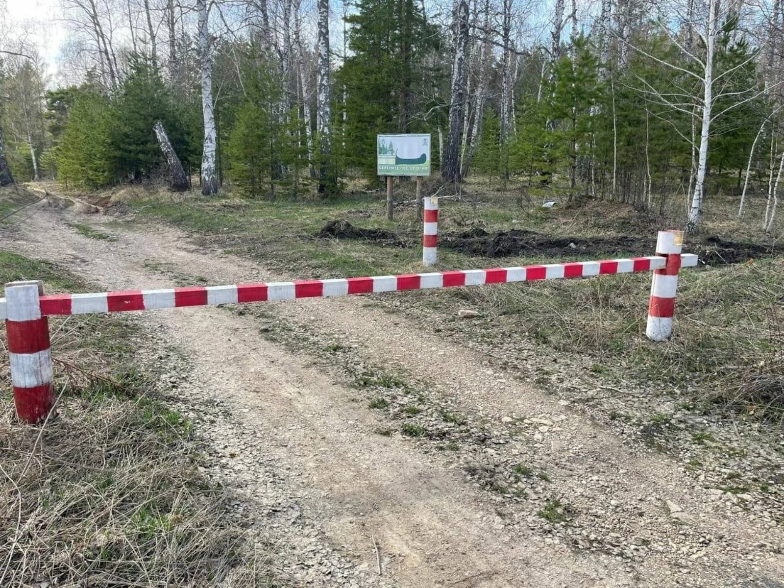 минлесхоз Башкирии