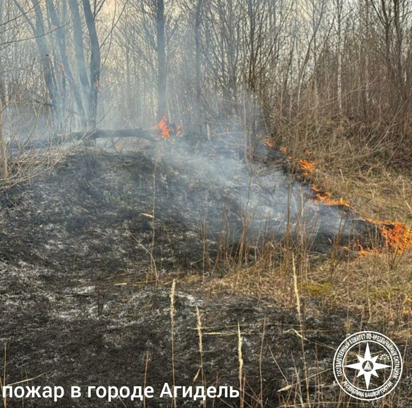 госкомитет РБ по ЧС