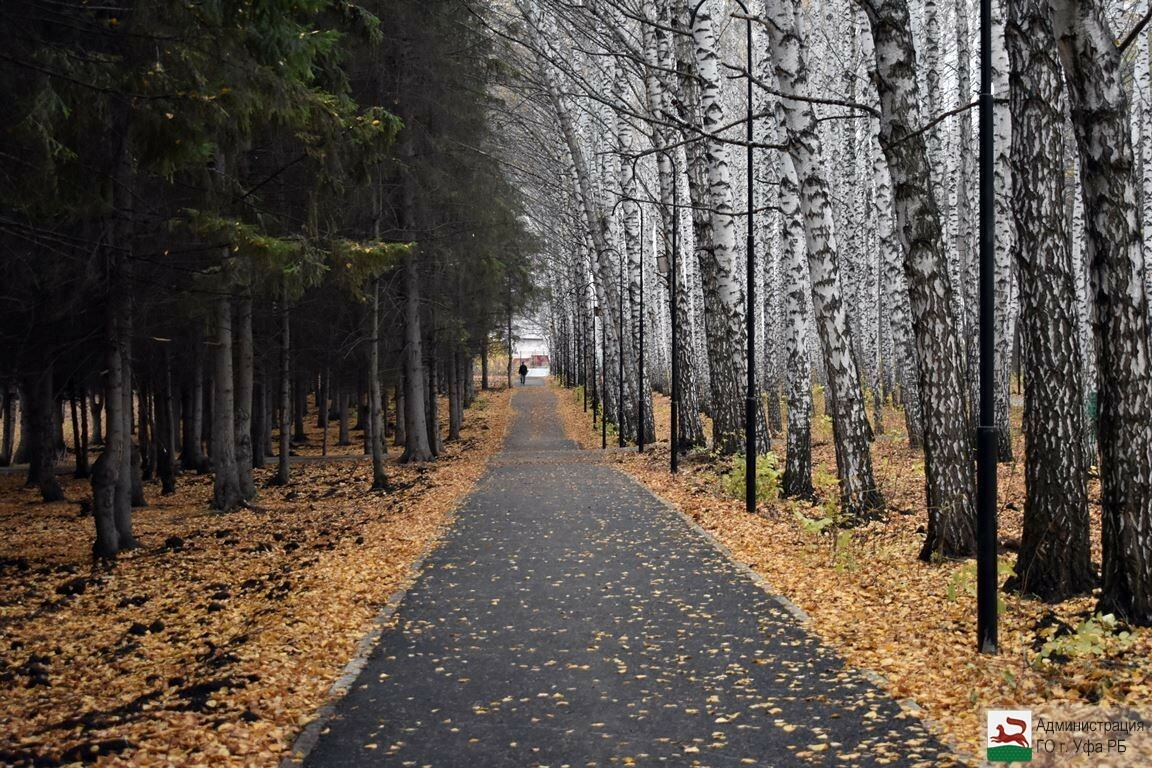 Волна парк