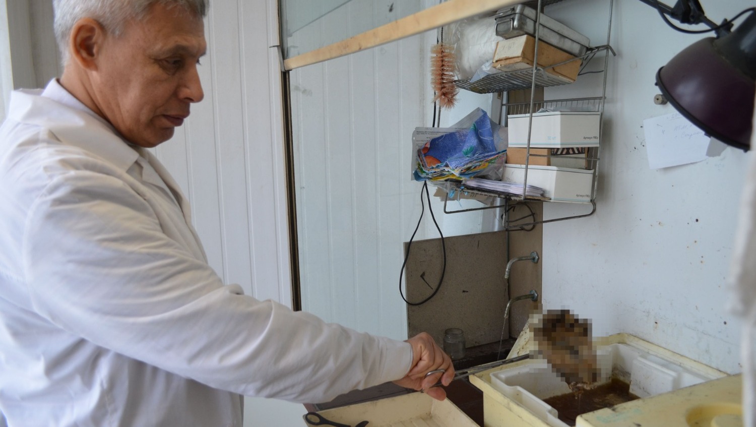 Ксения Калинина