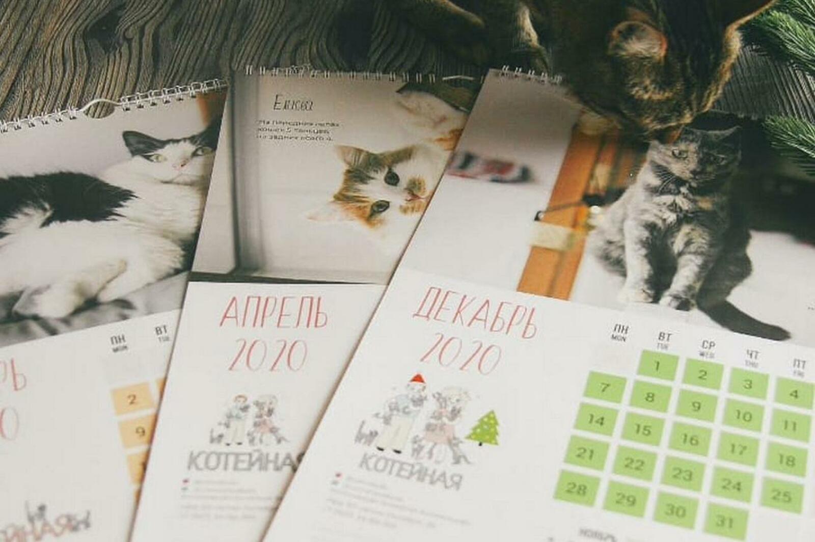 Котокафе «Котейная»
