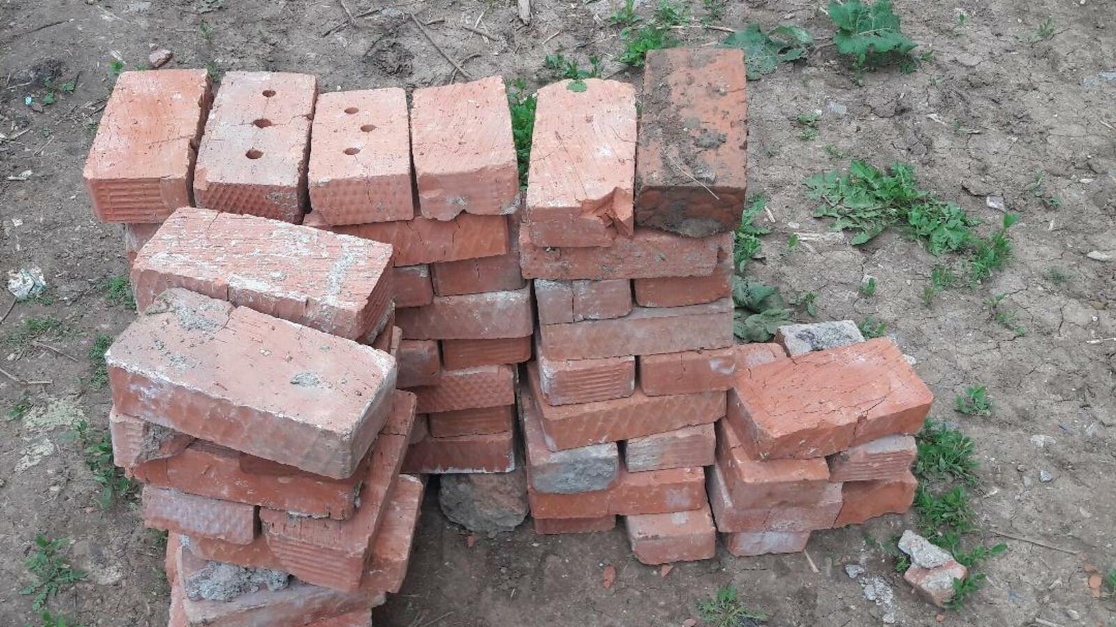 Ксения Калинина