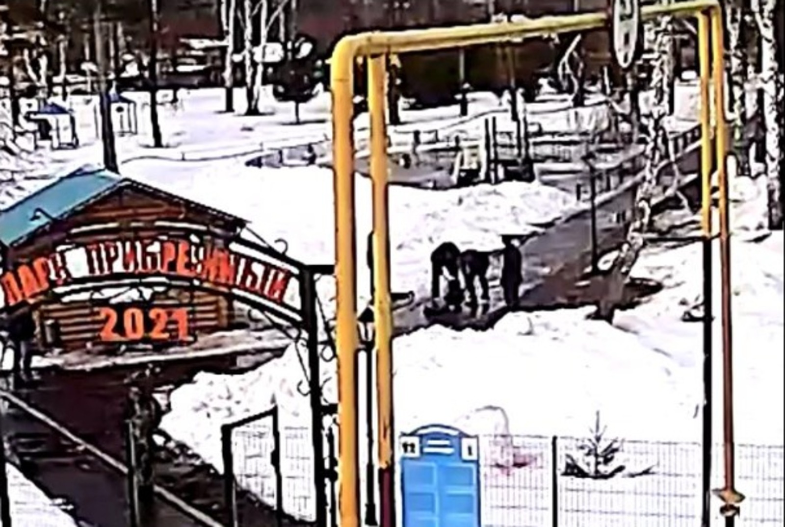 стоп-кадр видео из группы «Караидель Главный», Vk