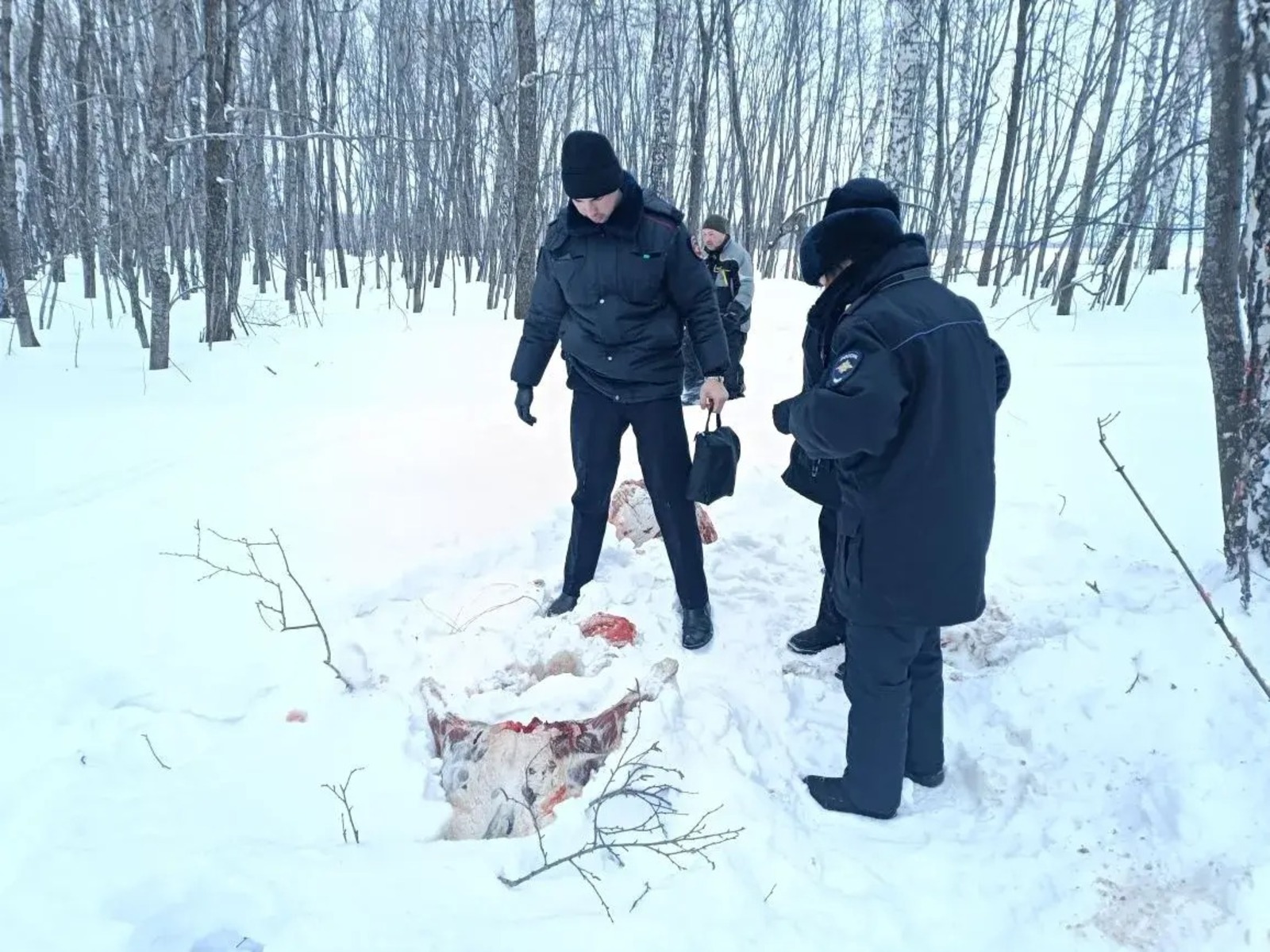 пресс-служба  минэкологии Башкирии