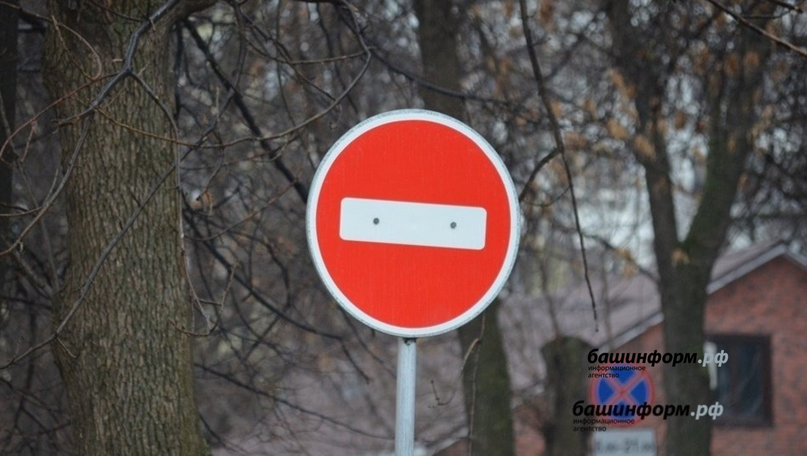 Ксения Калинина ИА Башинформ