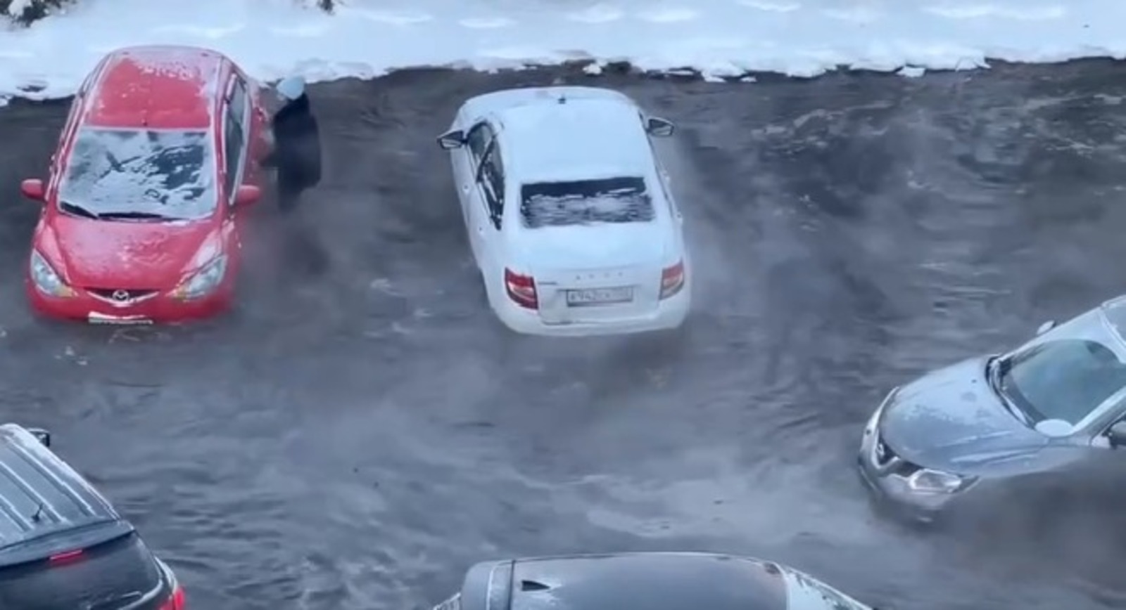 скриншот видео