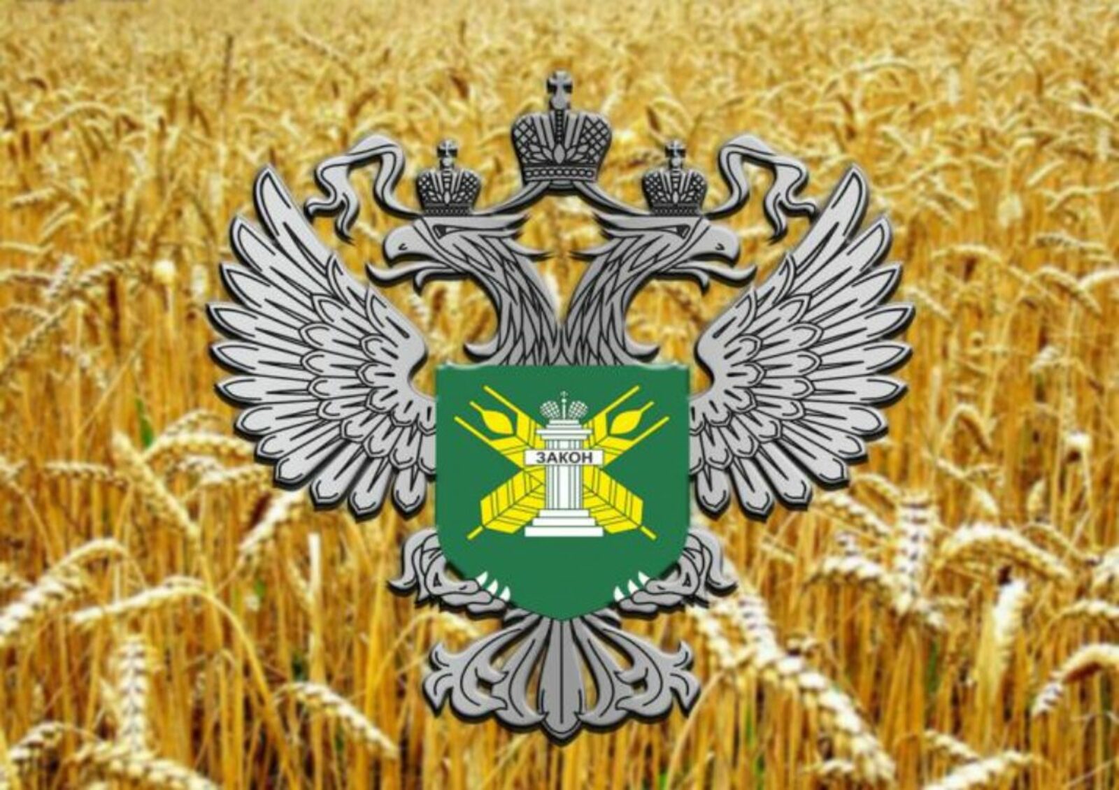 Башкирия экспортирует корма для птицы в Казахстан