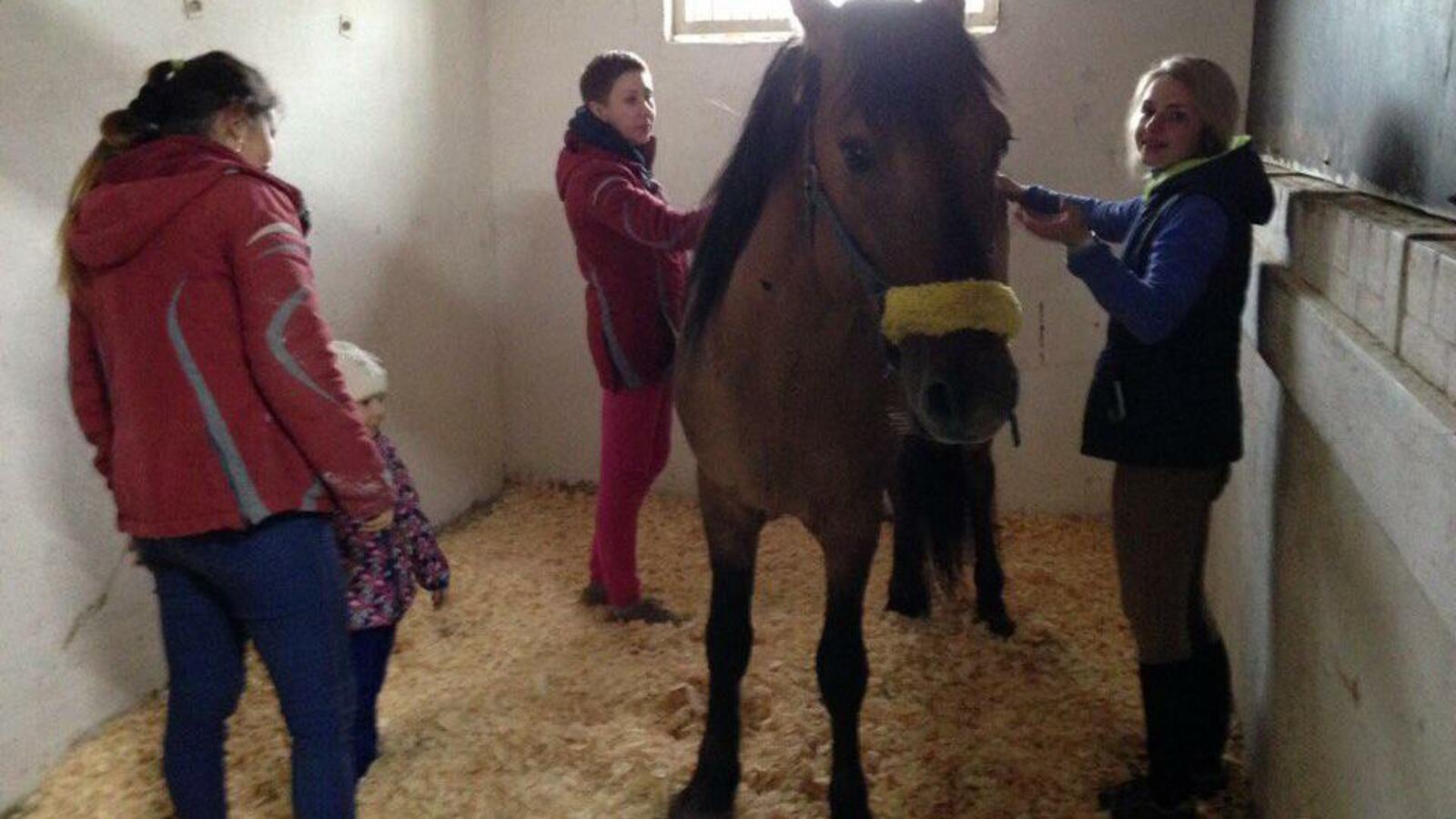 с сайта администрации района