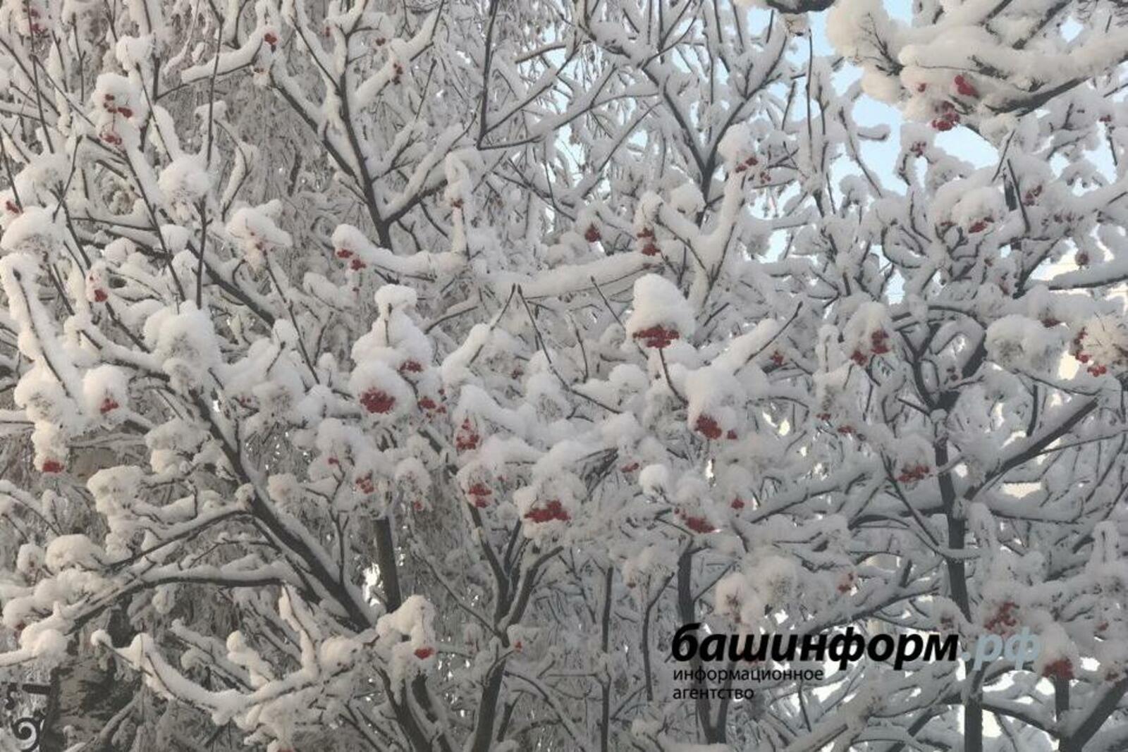 Ксения Калинина
