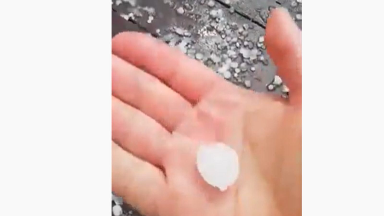 Стоп-кадр видео