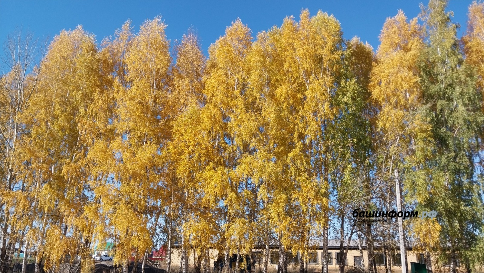Автор