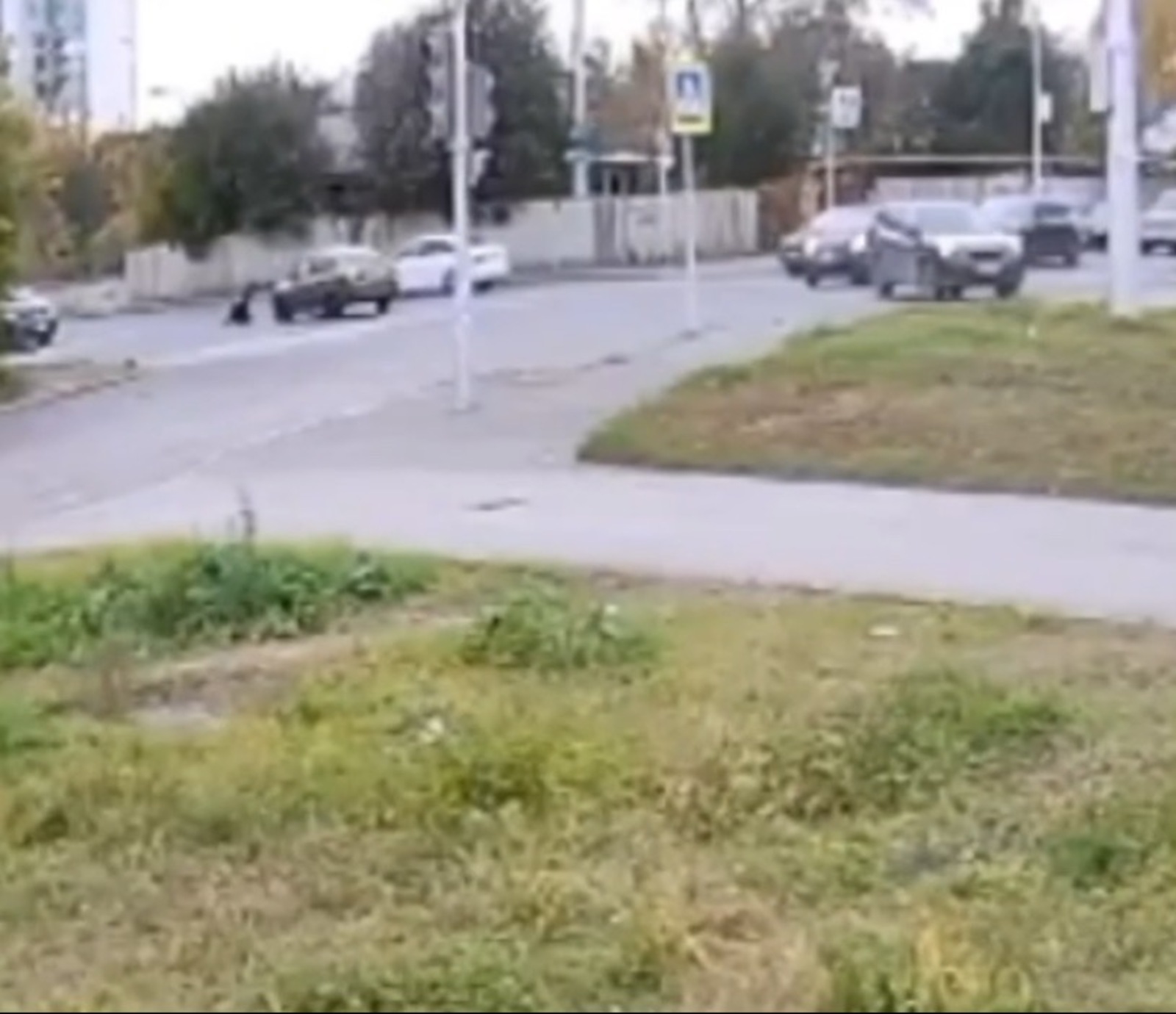 Скриншот видео