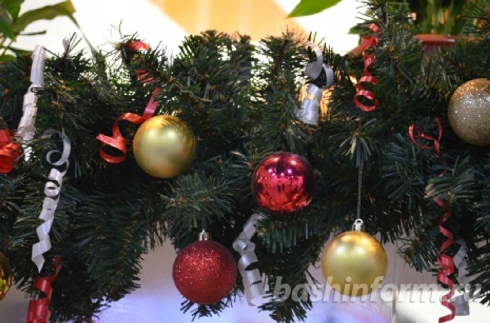 автор фотоһы