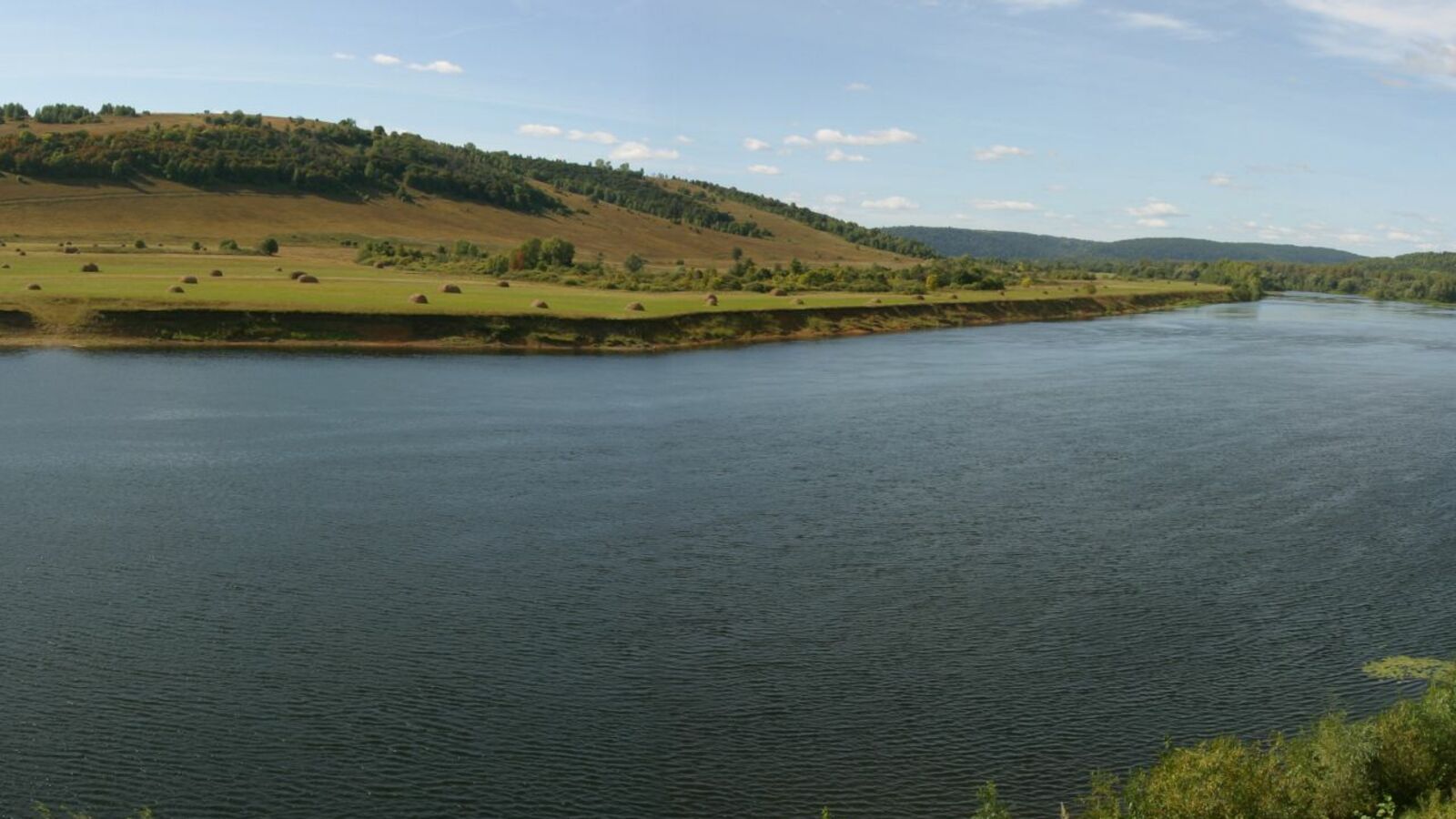 Андрей Старостин