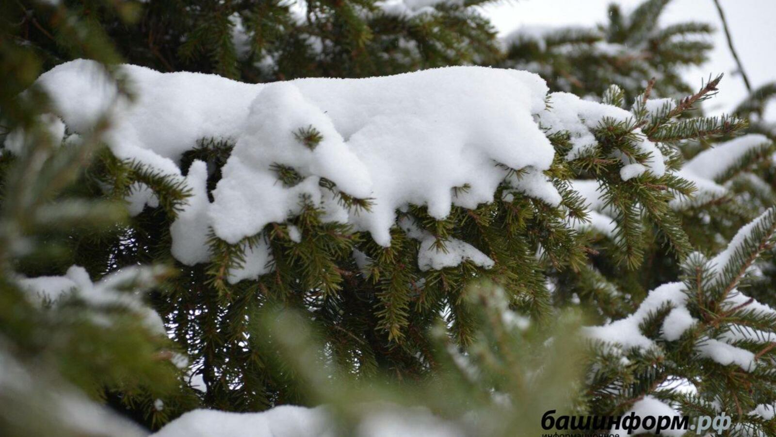 Ксения Калинина