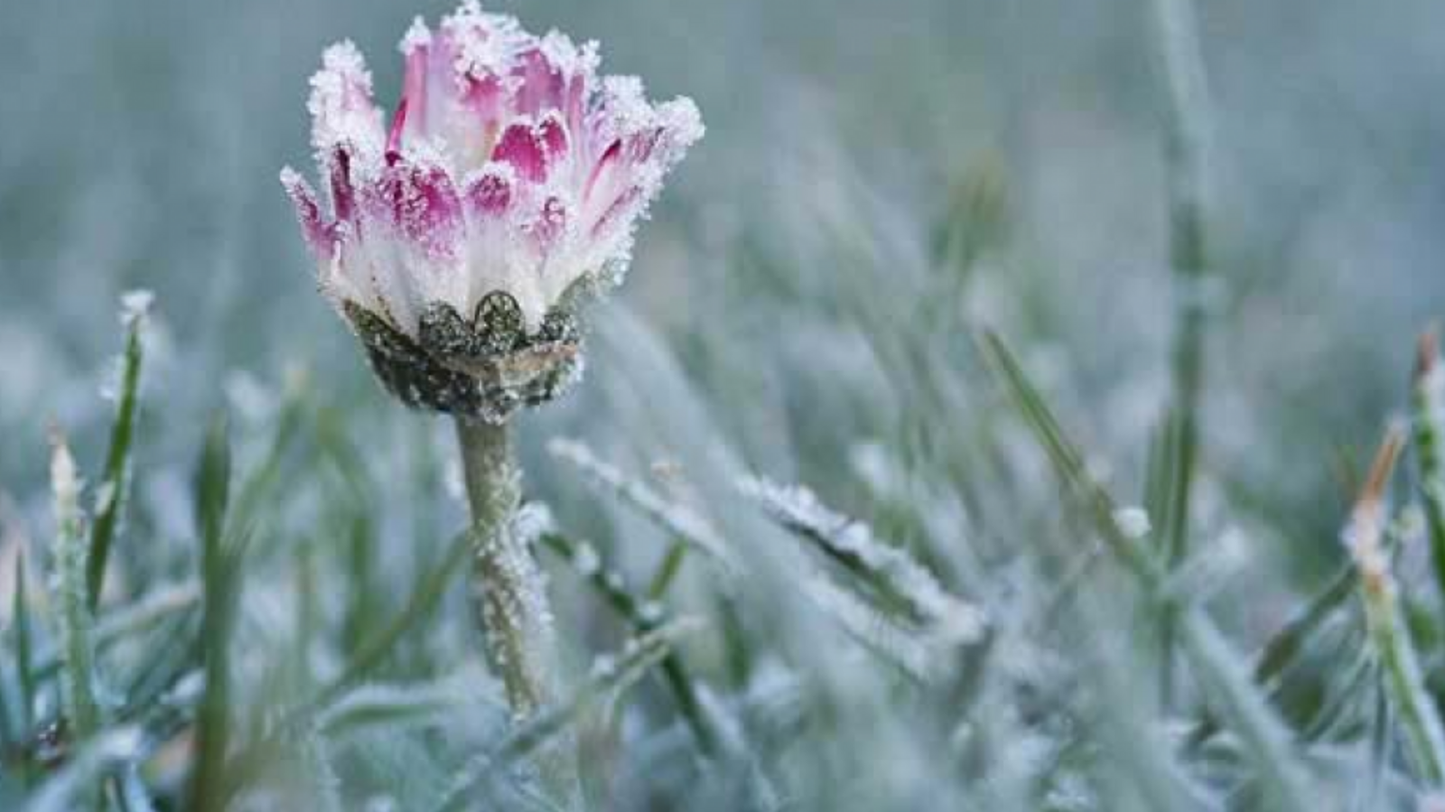 Ксения Калинина