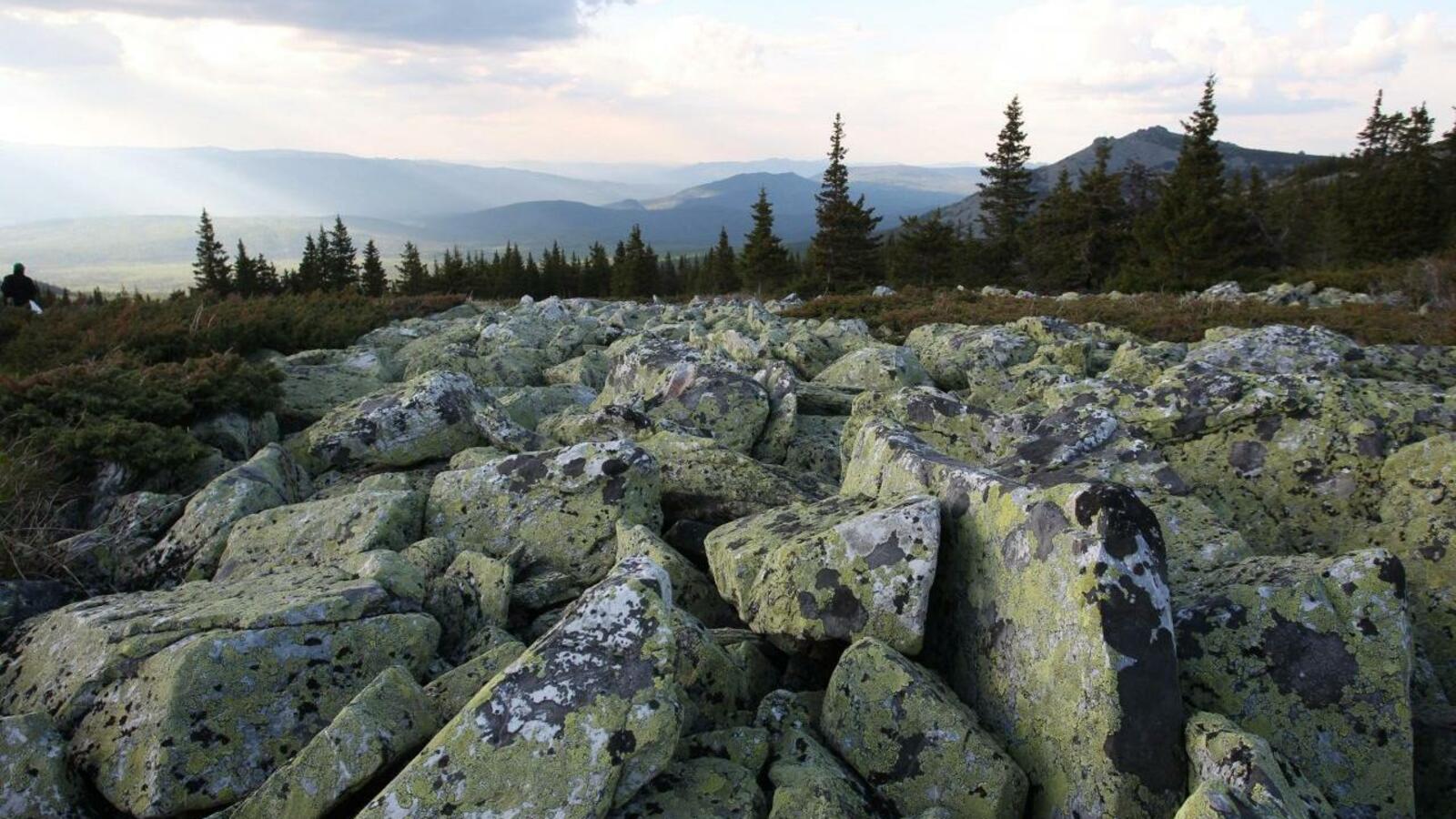 Олег Яровиков