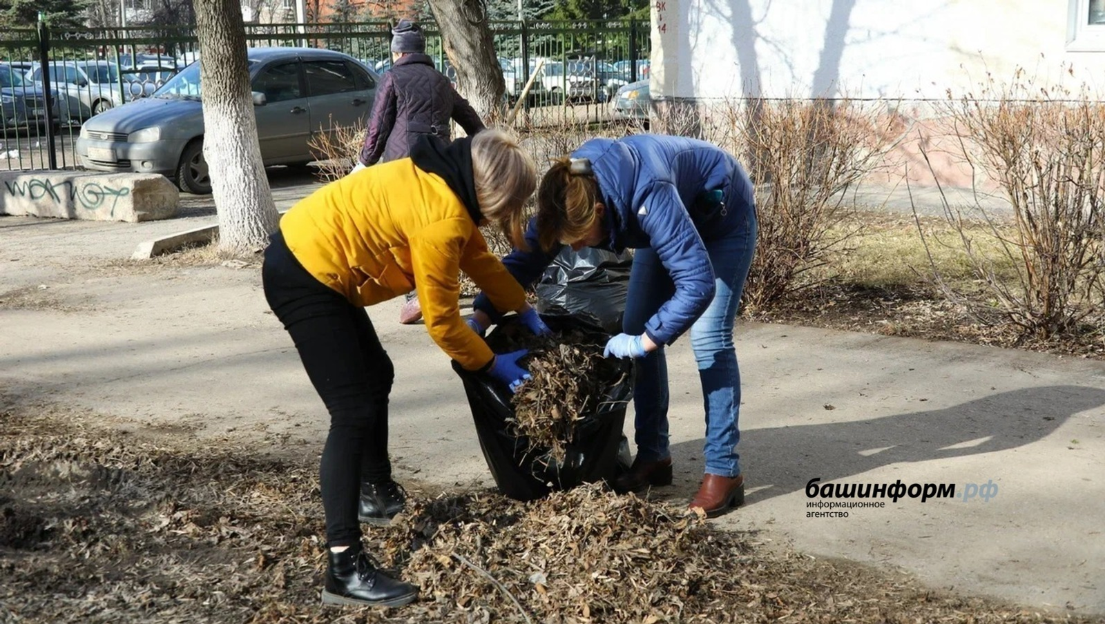 Валерий Шахов