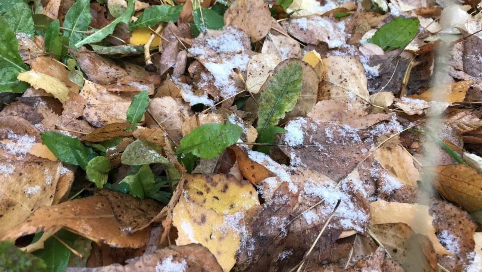 Ксения Калинина архив  ИА «Башинформ»