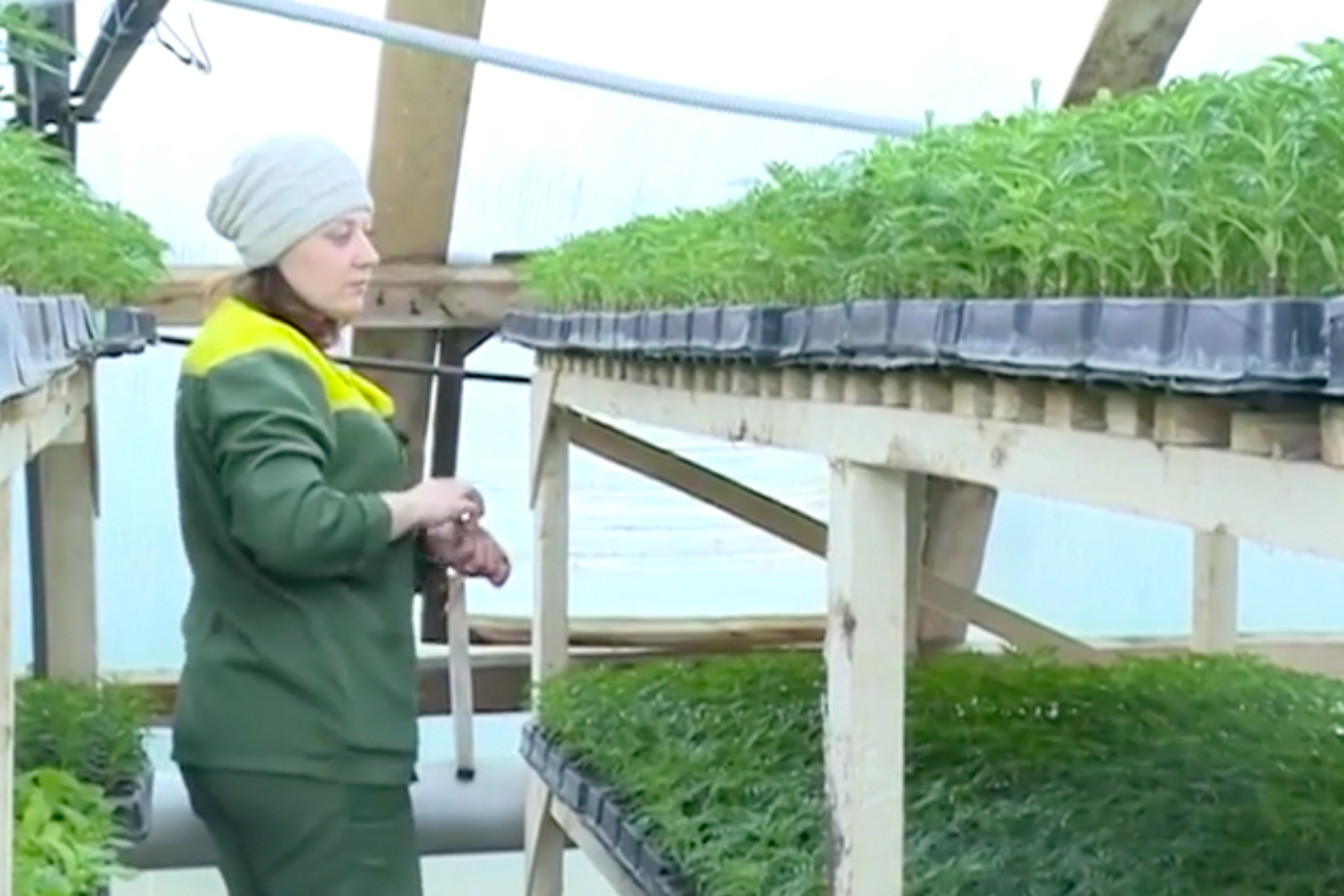 стоп-кадр видео с телеканала «Вся Уфа»