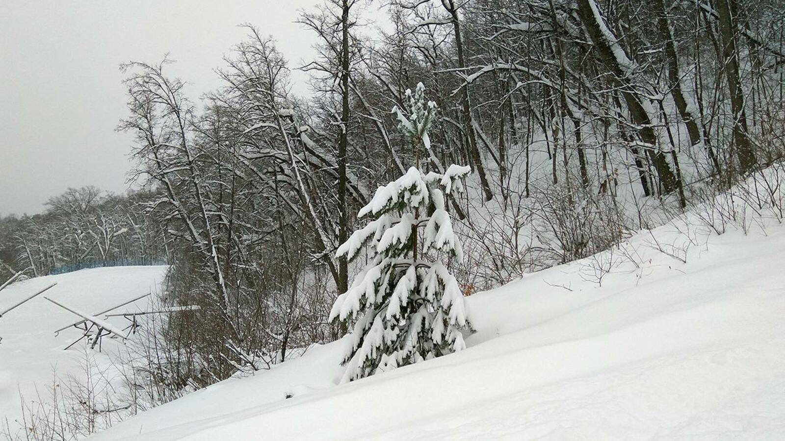 Олег Яровиков