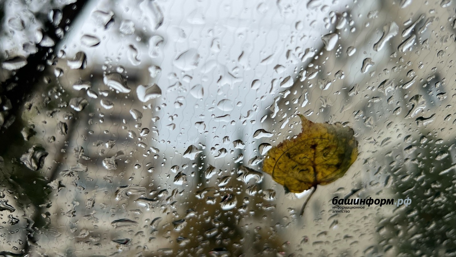 Ксения Калинина  ИА Башинформ