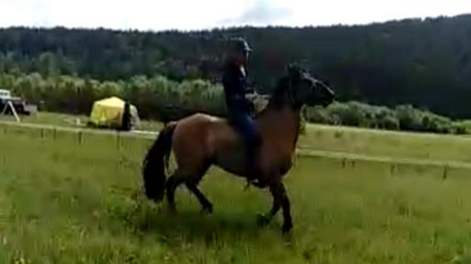 скриншот с видео