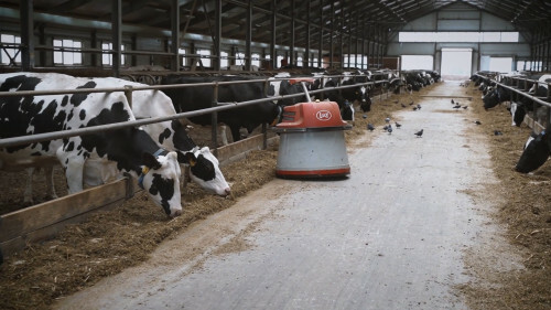 Сельхозпредприятия с крупными инвестпроектами в 2022 году произвели треть молока в Башкортостане