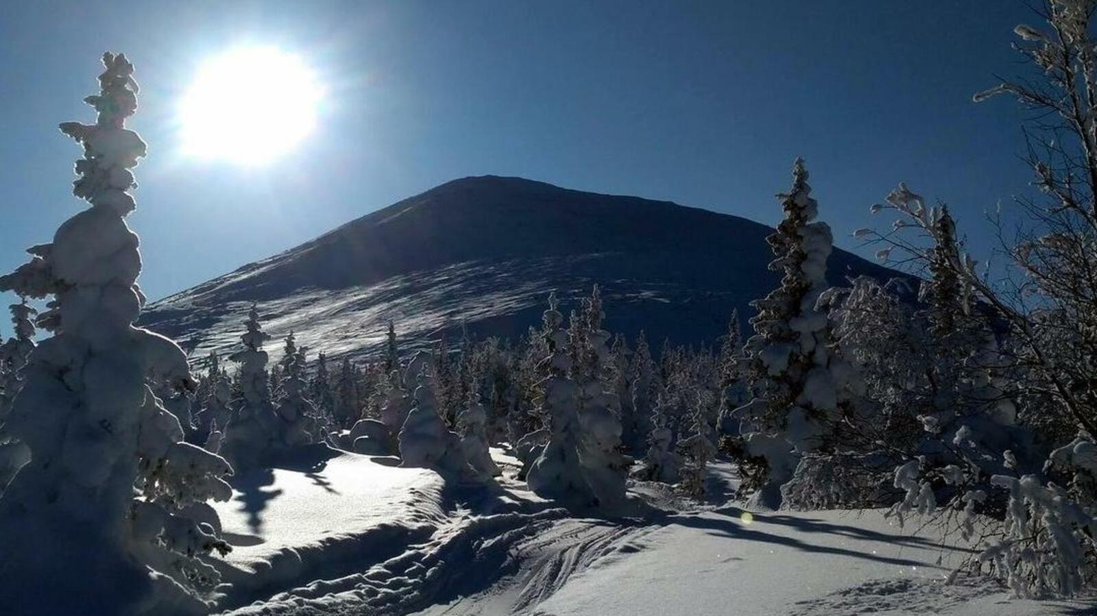 Раис Габитов