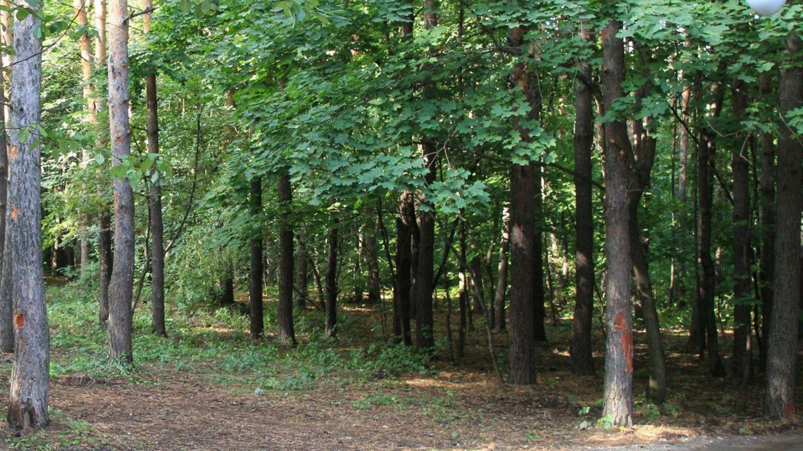 ИА «Башинформ»