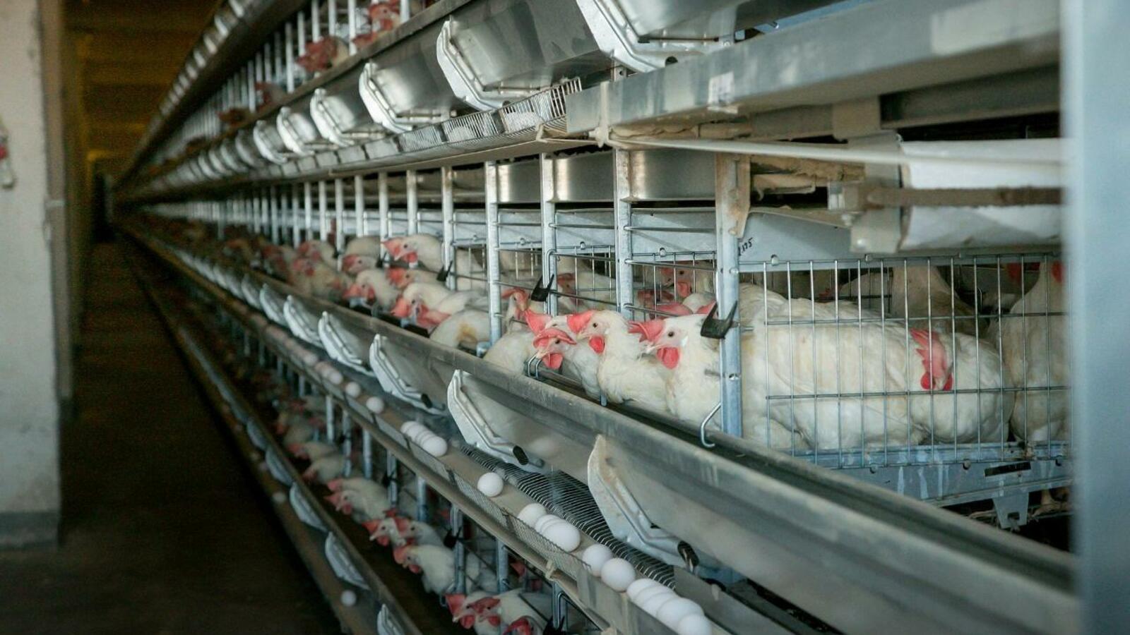 пресс-служба Главы Башкортостана