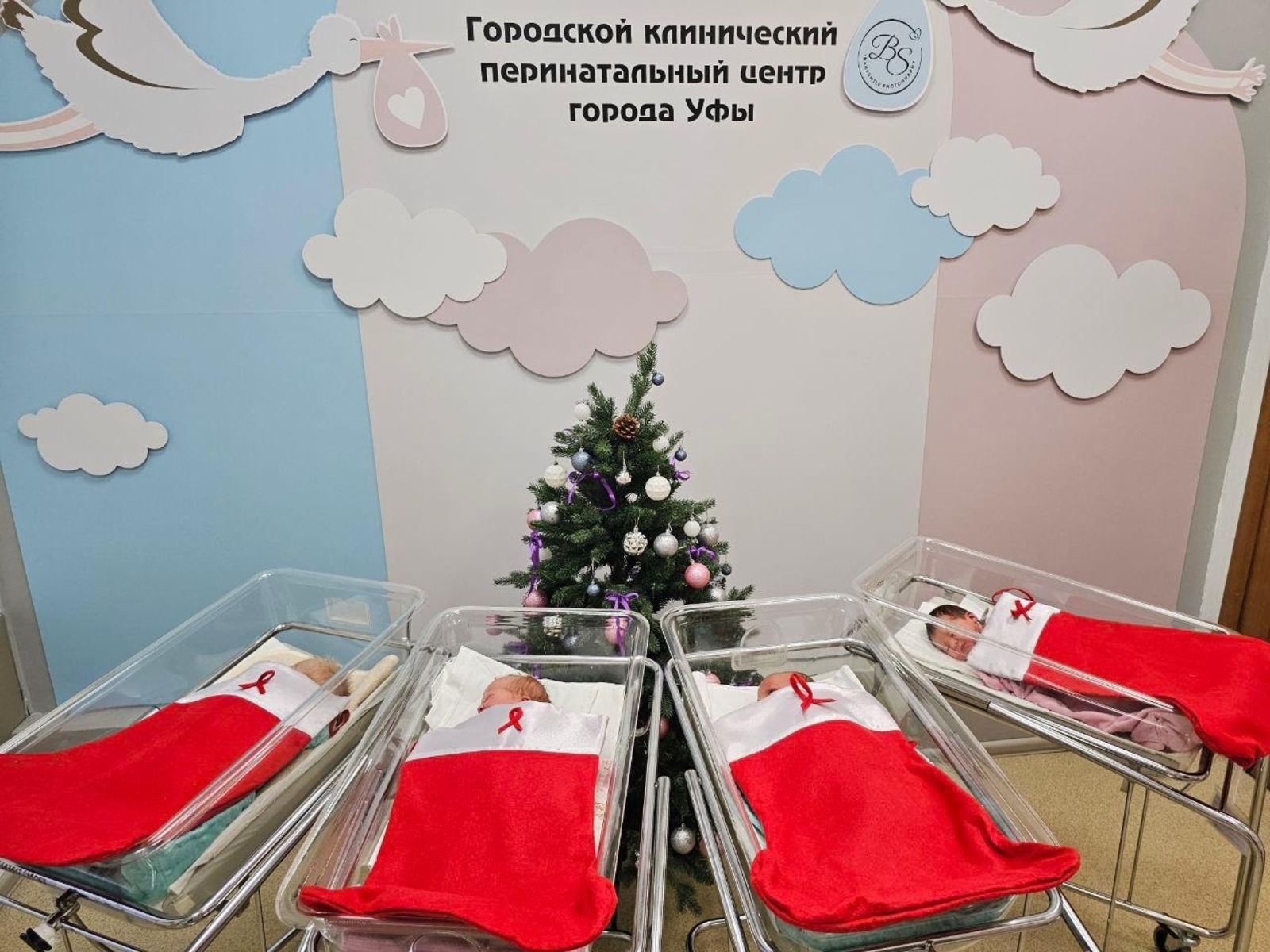 Рустем Хамитов vk.com