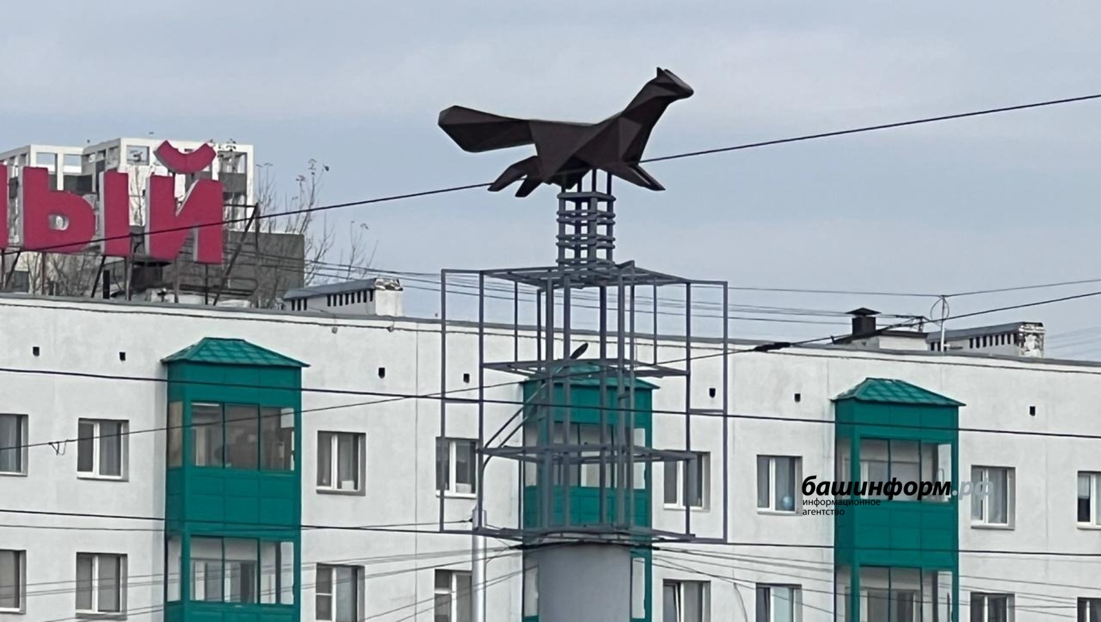 Ксения Калинина